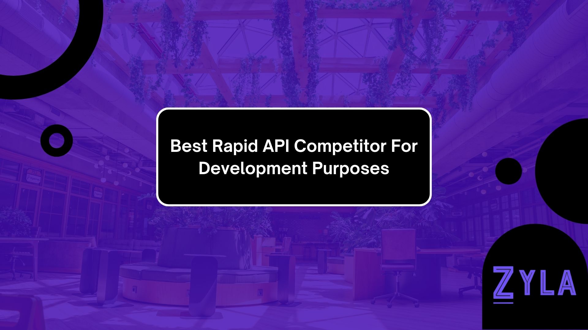 Best Rapid API Competitor For Development Purposes