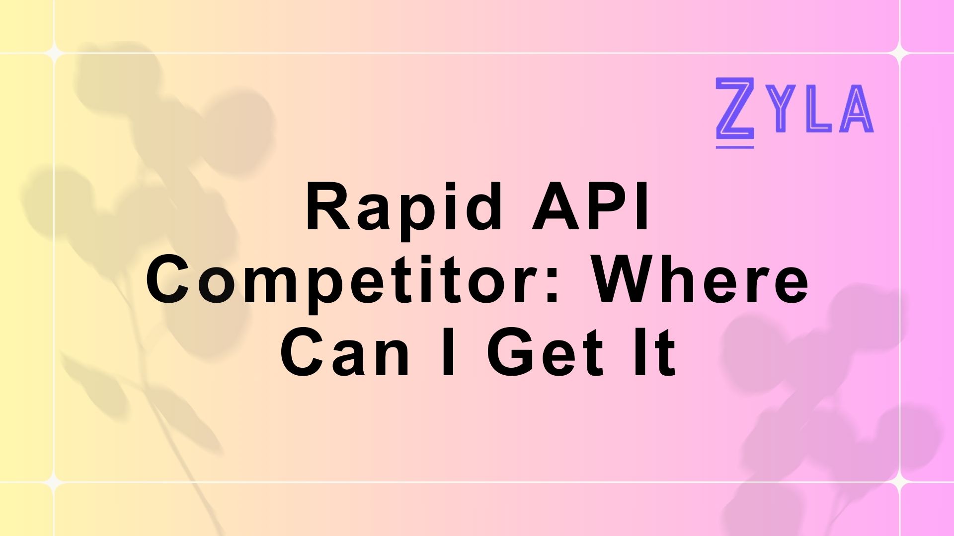 Rapid API Competitor: Where Can I Get It