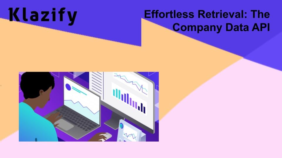 Effortless Retrieval: The Company Data API