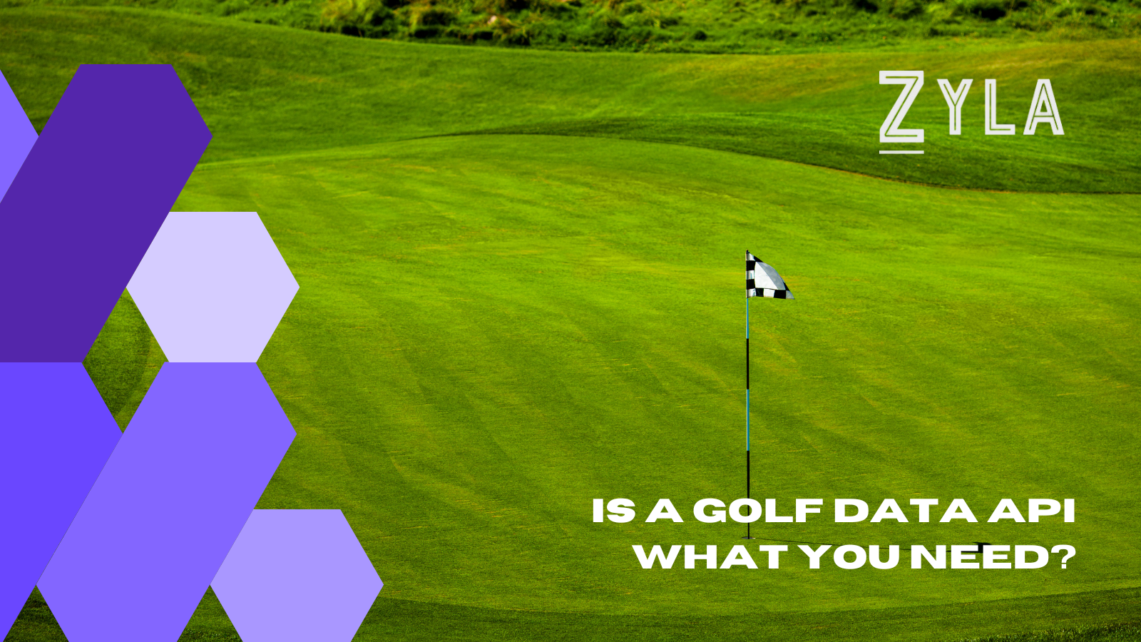 Is A Golf Data API What You Need?