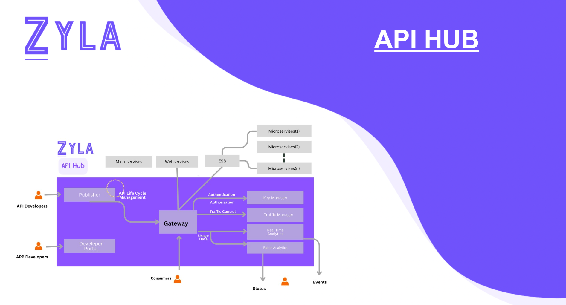 A Journey Through The Best API Hub