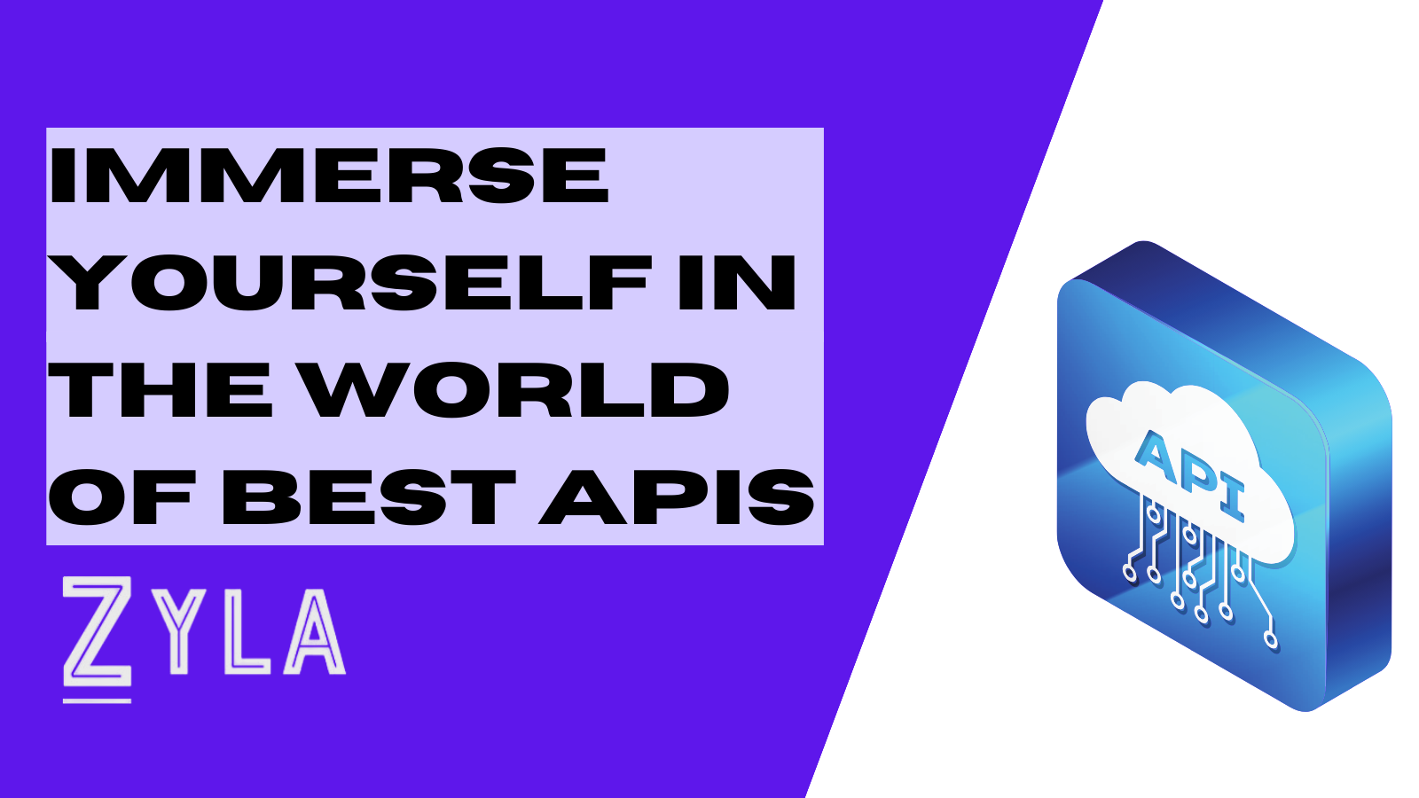 Immerse Yourself In The World Of Best APIs