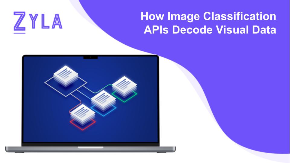 How Image Classification APIs Decode Visual Data