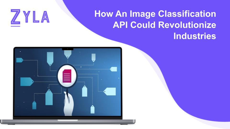 How An Image Classification API Could Revolutionize Industries