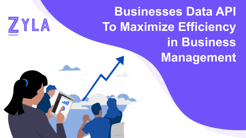 Businesses Data API To Maximize Efficiency in Business Management