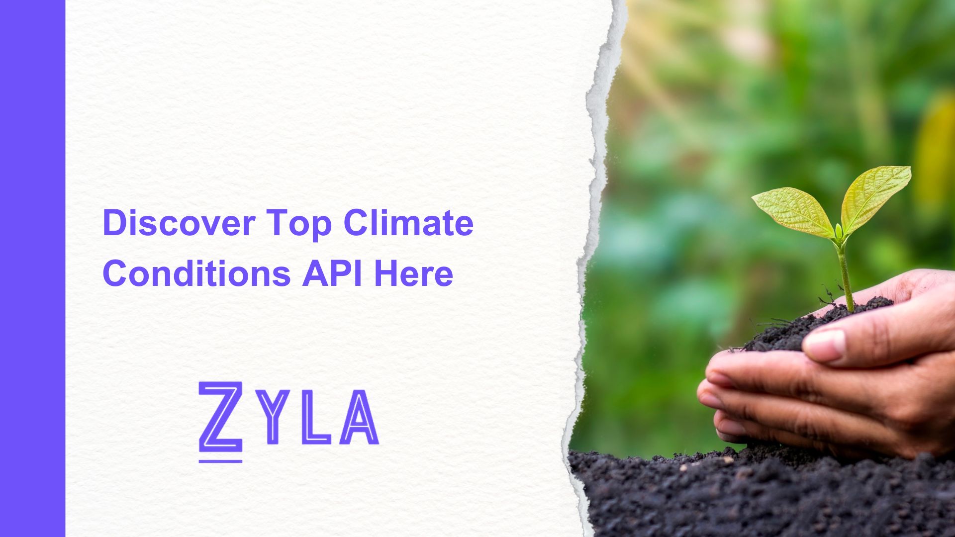 Discover Top Climate Conditions API Here