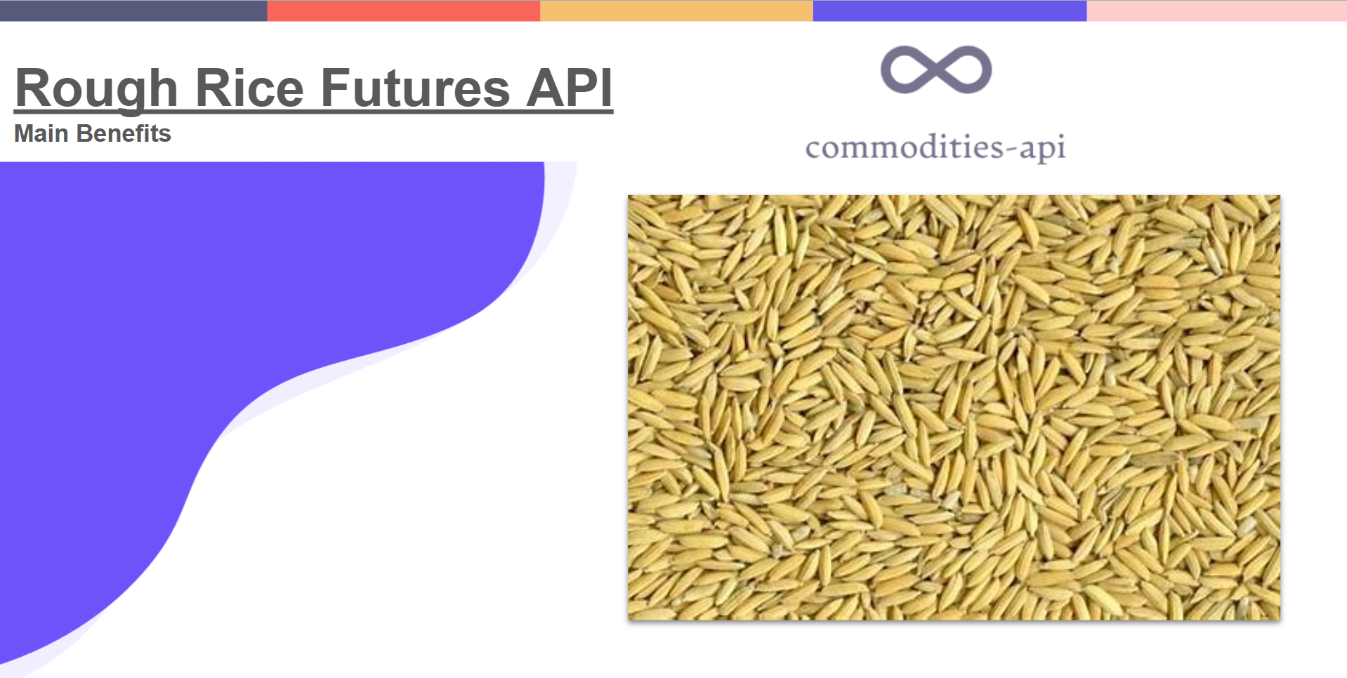 Rough Rice Futures API: Main Benefits