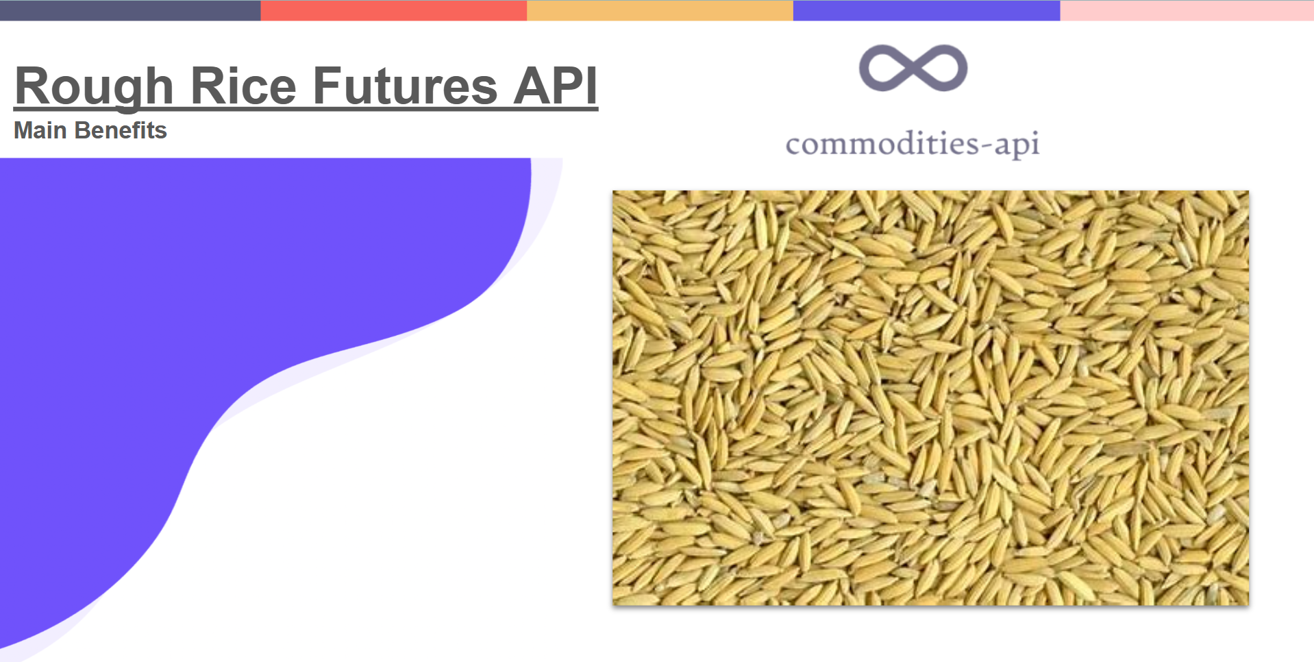 Rough Rice Futures Api Main Benefits Zyla Api Hub Blog