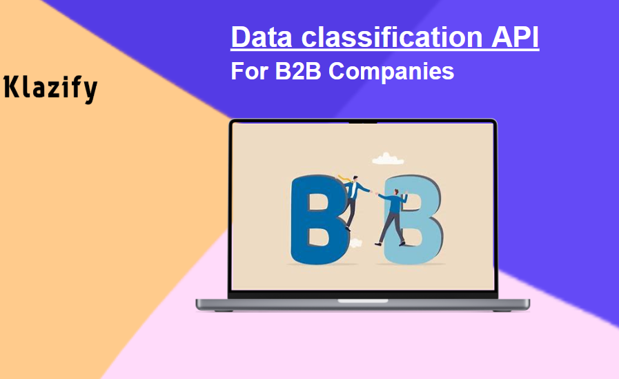 Data Classification API: For B2B Companies