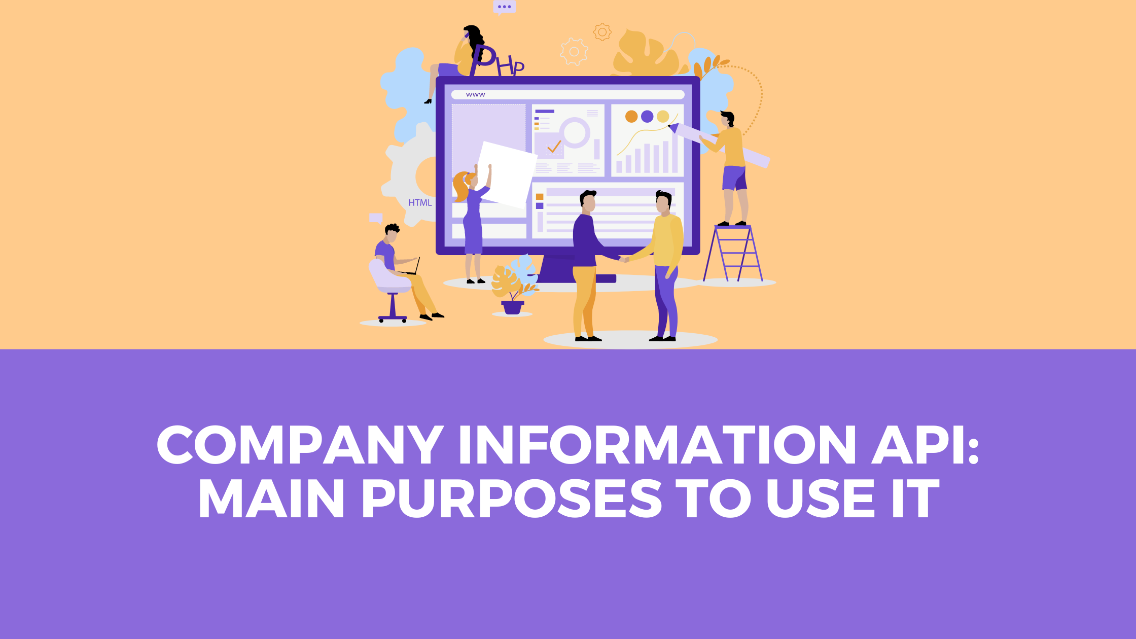 Company Information API: Main Purposes To Use It