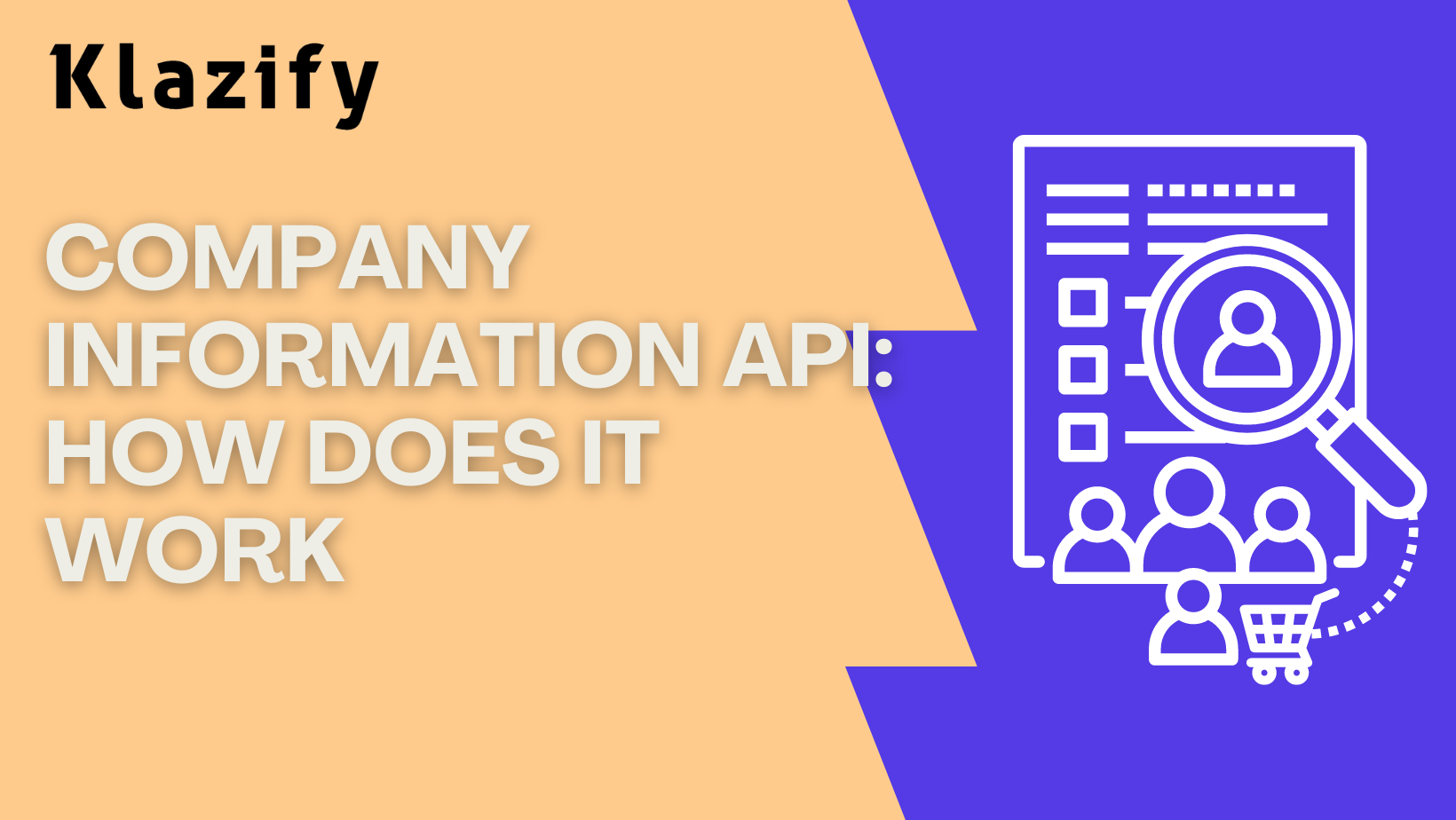 Company Information API: How Does It Work