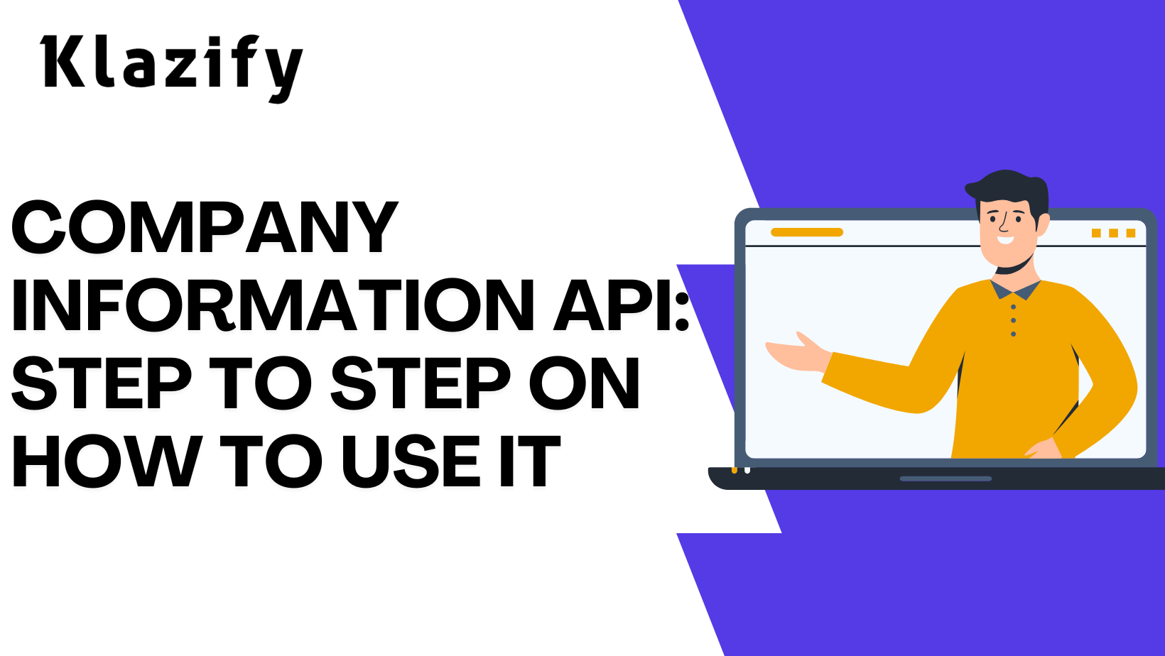 Company Information API: Step To Step On How To Use It