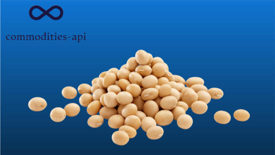 Soybean Meal Futures API: Fast And Reliable Market Data