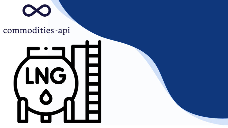 Liquified Natural Gas Japan API: How To Get These Rates