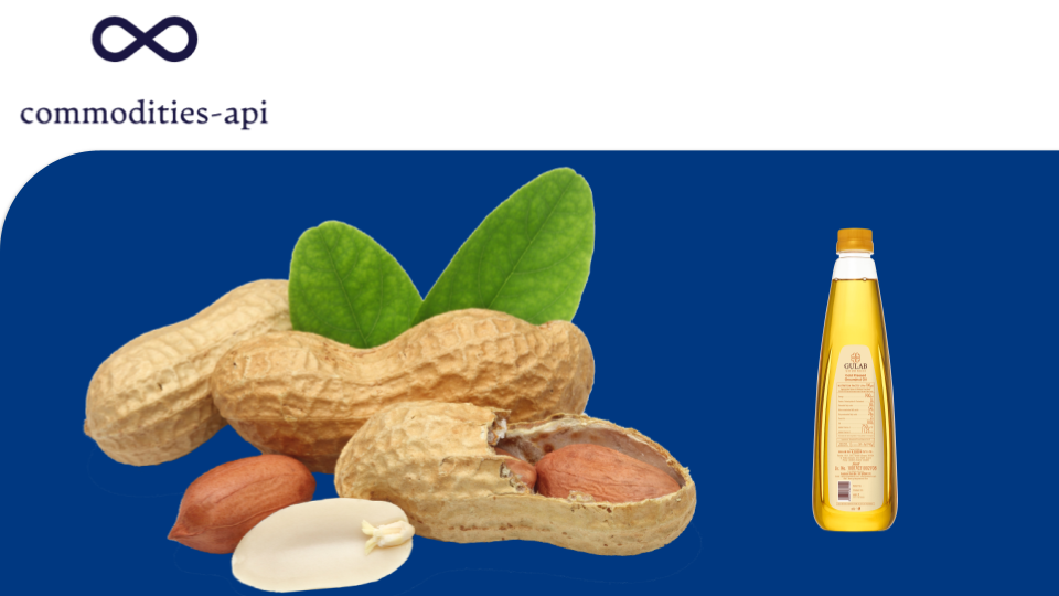 Groundnut Oil API: Get Accurate Pricing