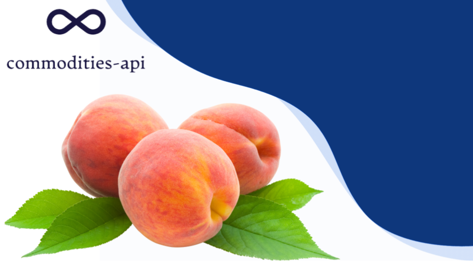 Peach Rates API: How To Get These Rates