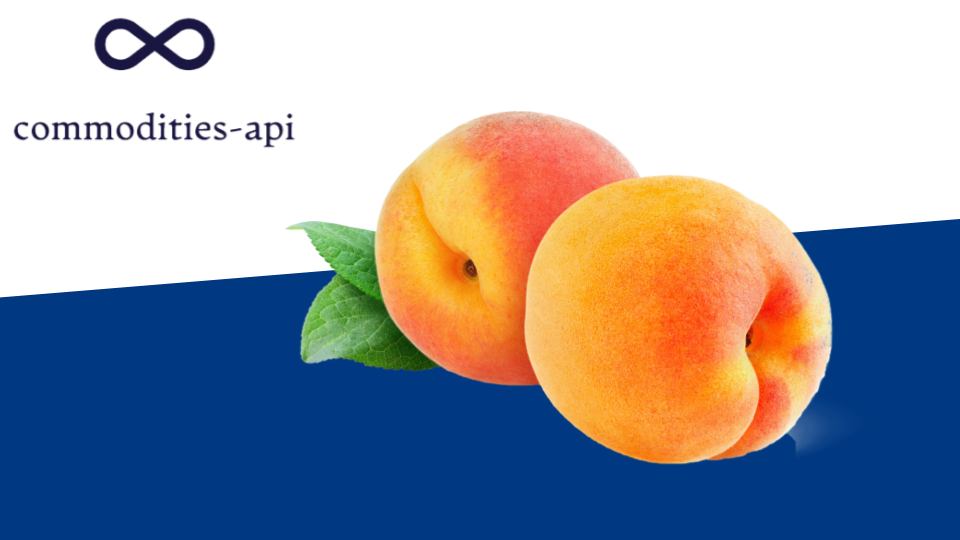 Peach Rates API: Reliable And Accurate Pricing