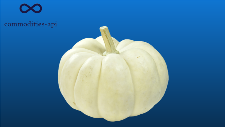 White Pumpkin Rates API: Reliable And Accurate Pricing