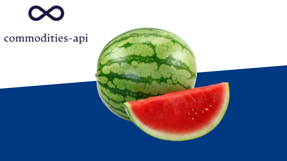 Watermelon Rates API: Developer Friendly Pricing Solution