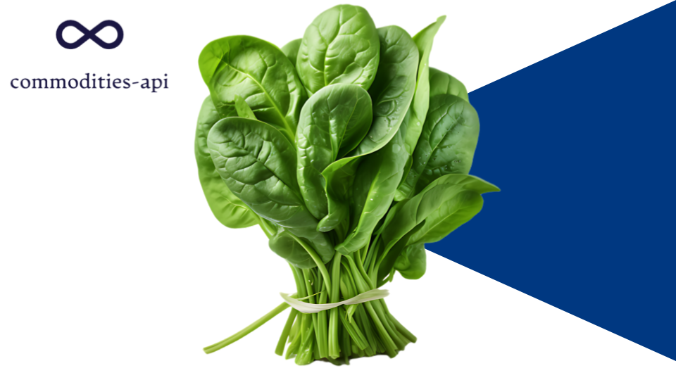 Spinach Rates API: Real Time Market Data For Developers