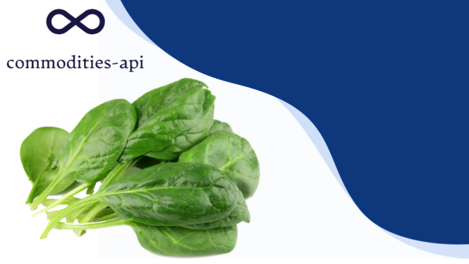 Spinach Rates API: Enhance Your Application With Live Data