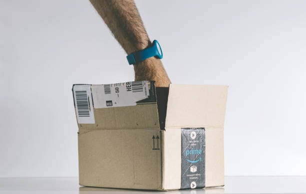 What You Need To Know About Amazon's Check Price And Search Items API